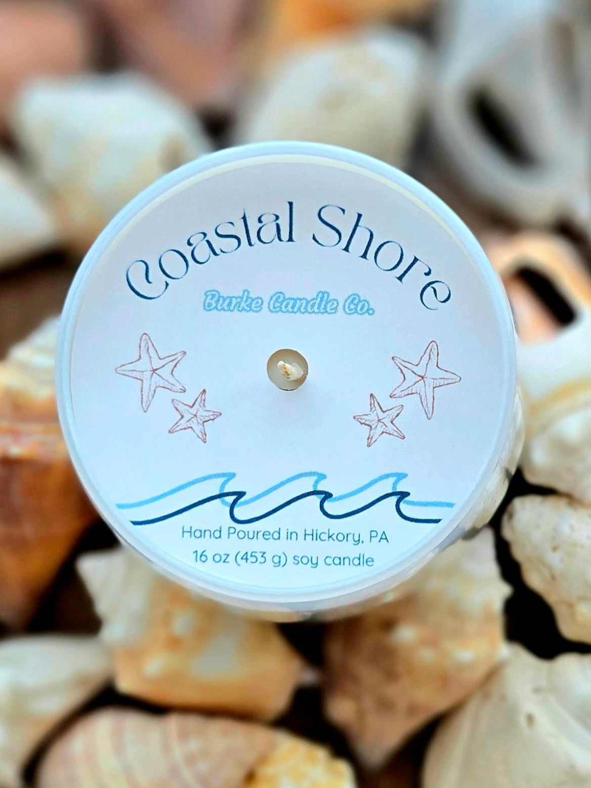 Coastal Shore